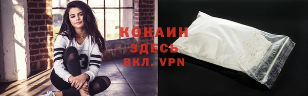 прущие грибы Баксан