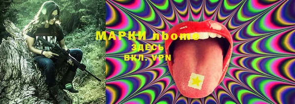 ПСИЛОЦИБИНОВЫЕ ГРИБЫ Балахна