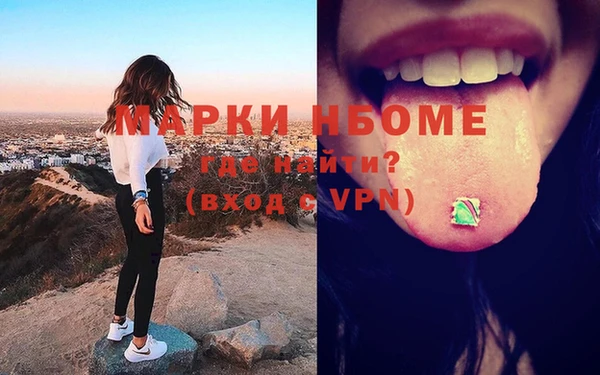 прущие грибы Баксан