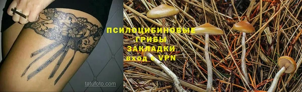 ПСИЛОЦИБИНОВЫЕ ГРИБЫ Балахна