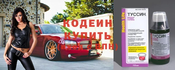 прущие грибы Баксан