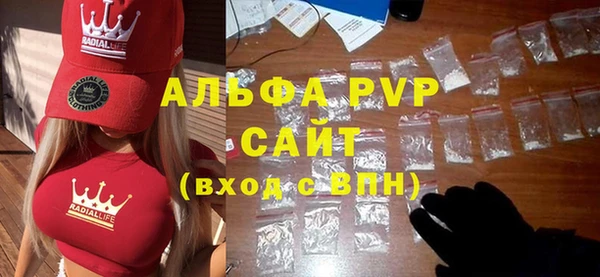 прущие грибы Баксан