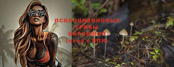 ПСИЛОЦИБИНОВЫЕ ГРИБЫ Балахна