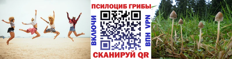 наркотики  Славгород  Псилоцибиновые грибы мухоморы 